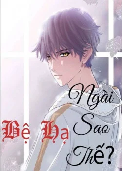 be-ha-ngai-sao-the-.jpg